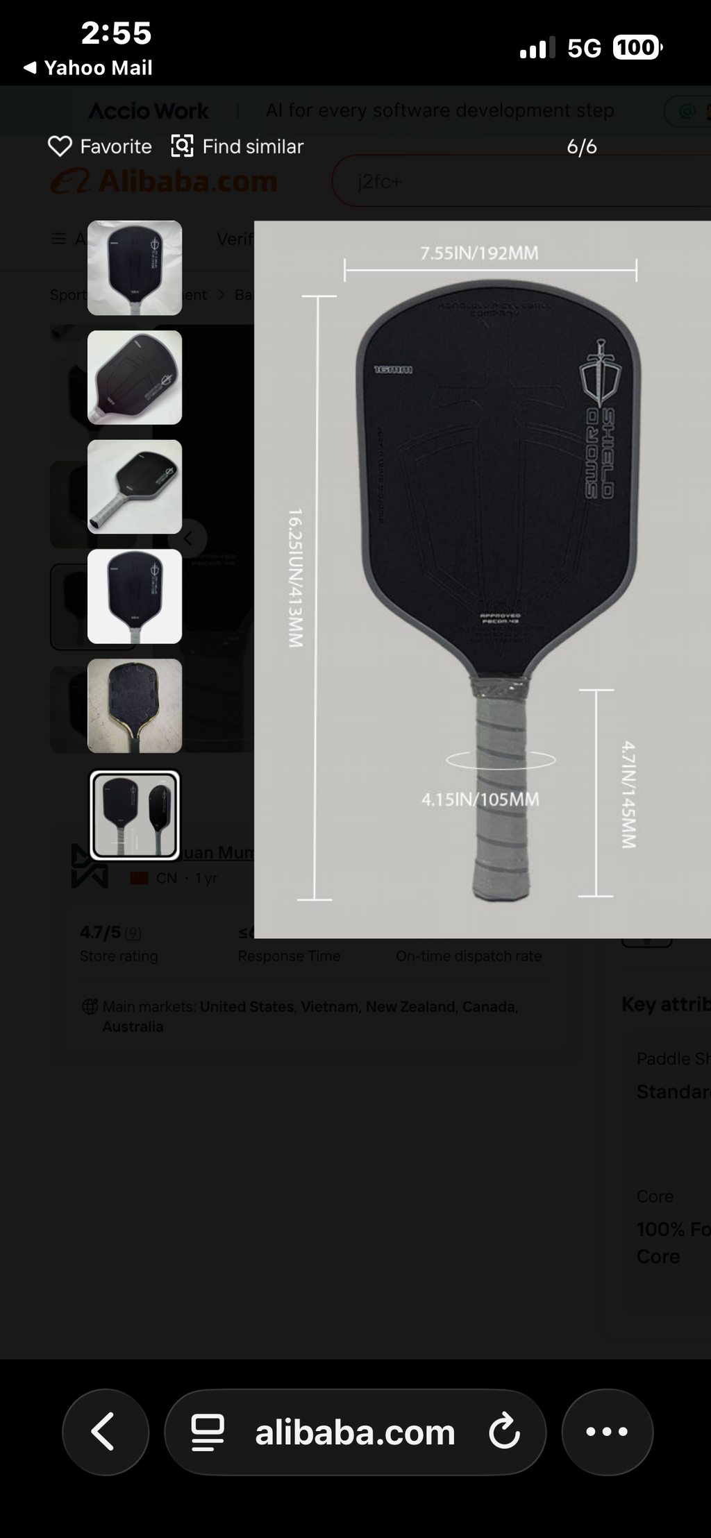 Pickleball paddles