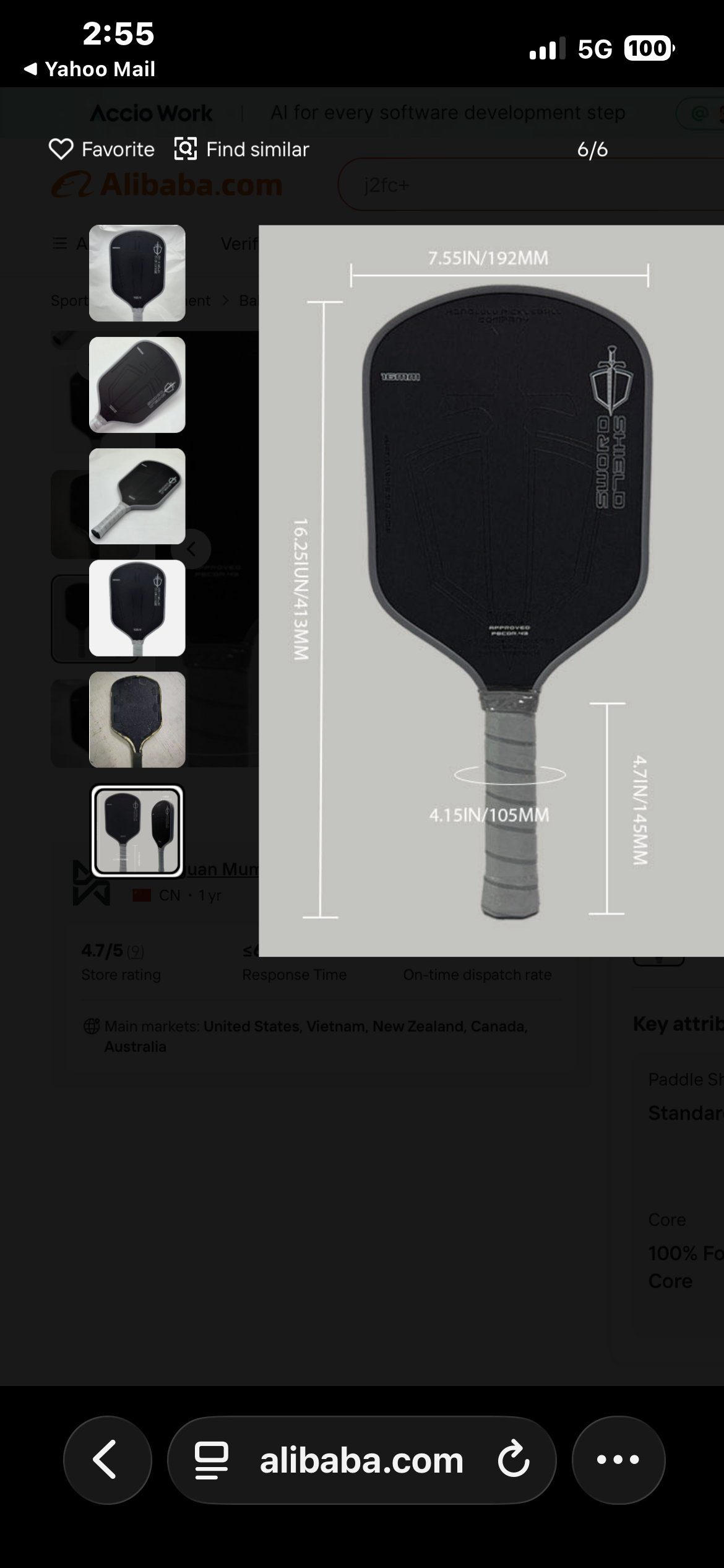 Pickleball paddles