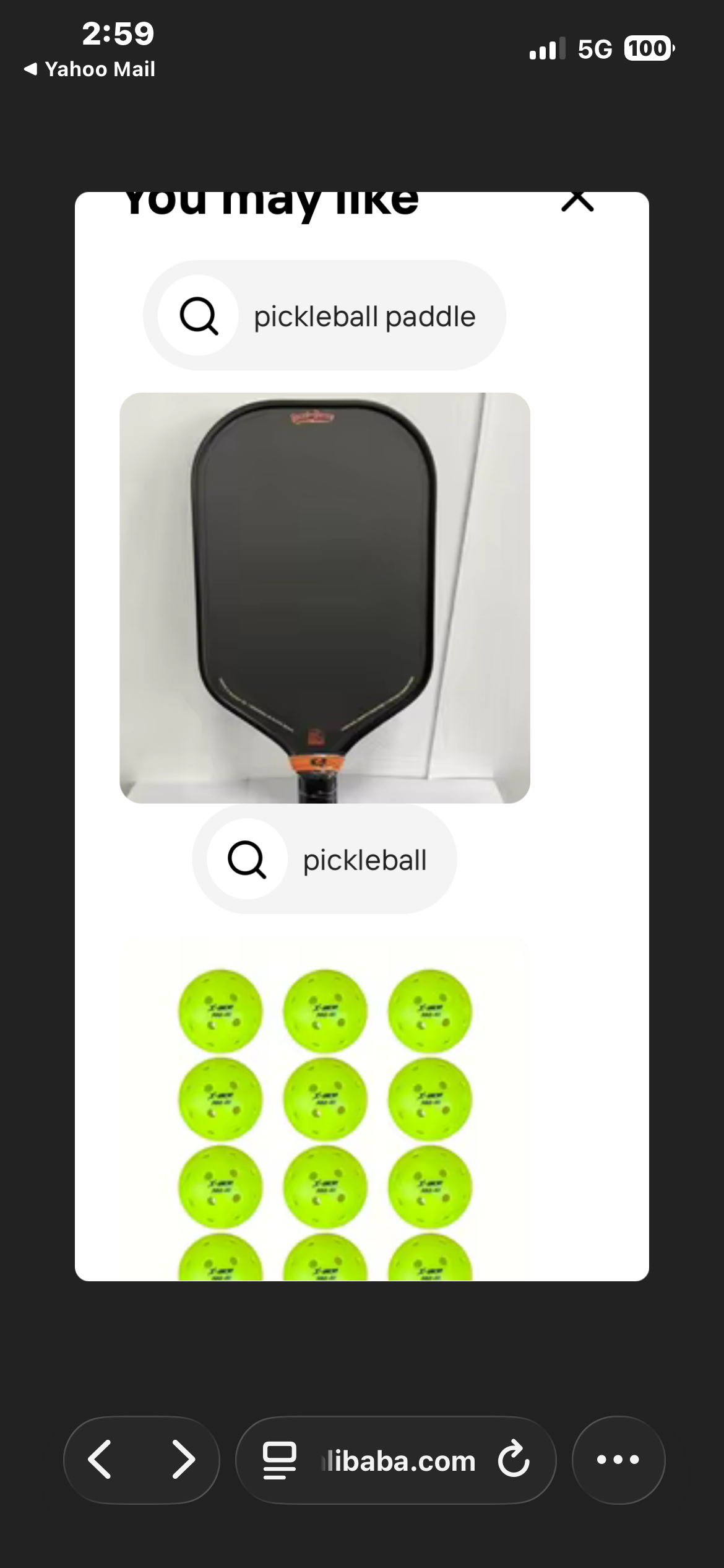 Pickleball paddles